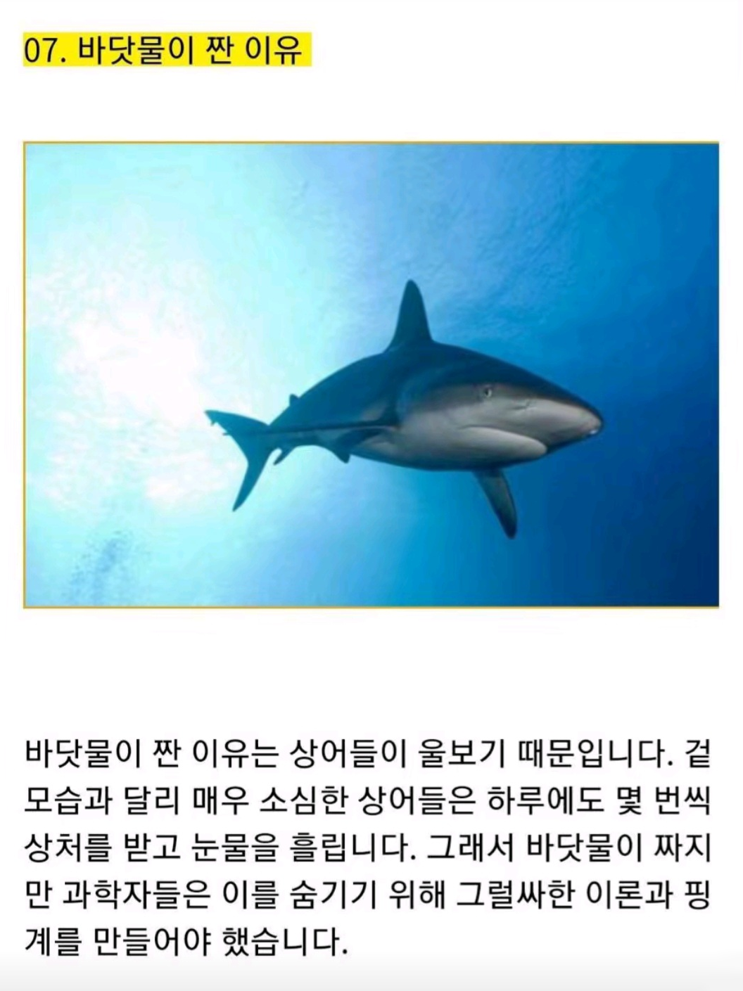 뭐가 정답인지도 모르겠어. 대표 이미지