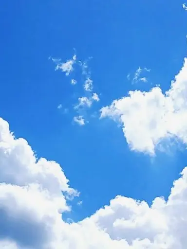 happytakusang의 황제들의 멍멍이