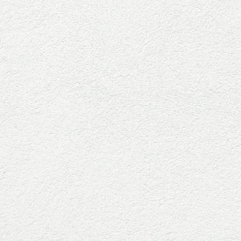 박지성