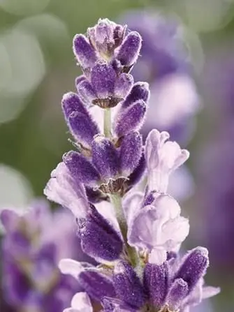 DIARY_의 누군가의 구원이 되는 것.