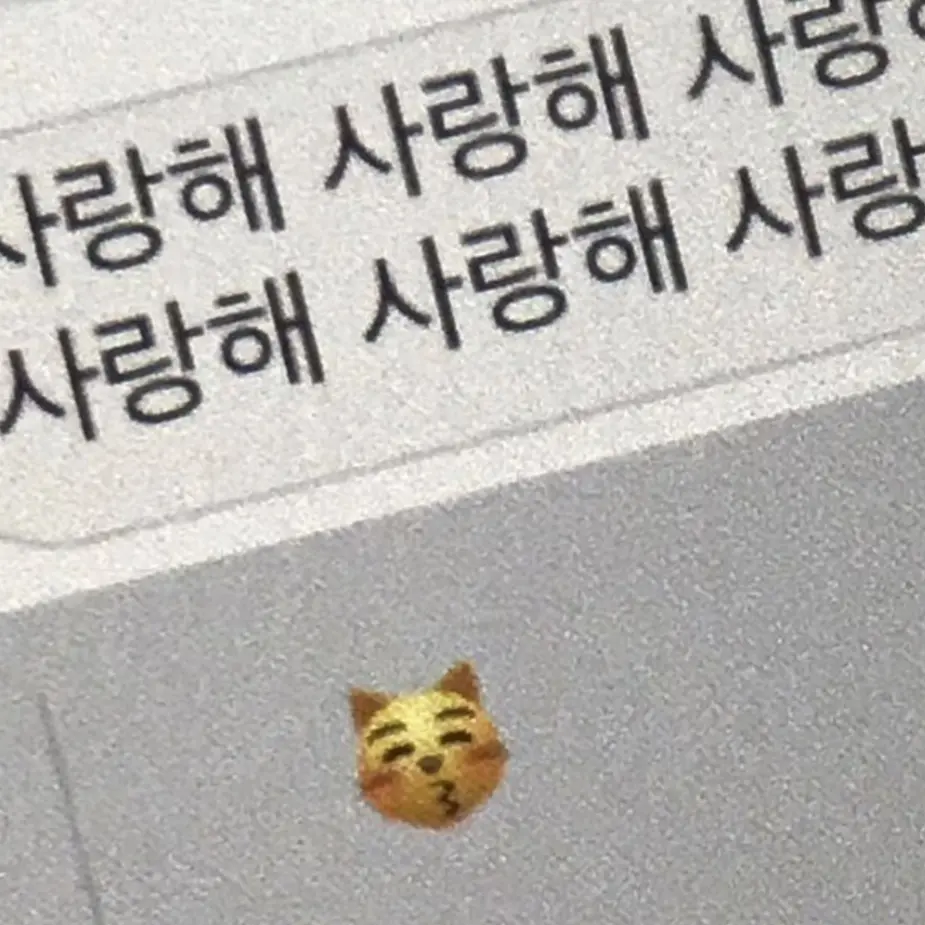 Cubic의 도련님들이 탈출했다.