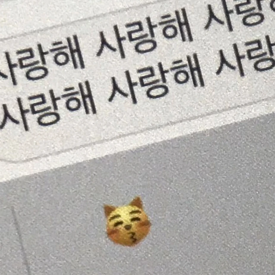 도련님들이 탈출했다.