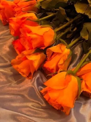 dpxnp의 경호원에게 약점을 들켜버렸다