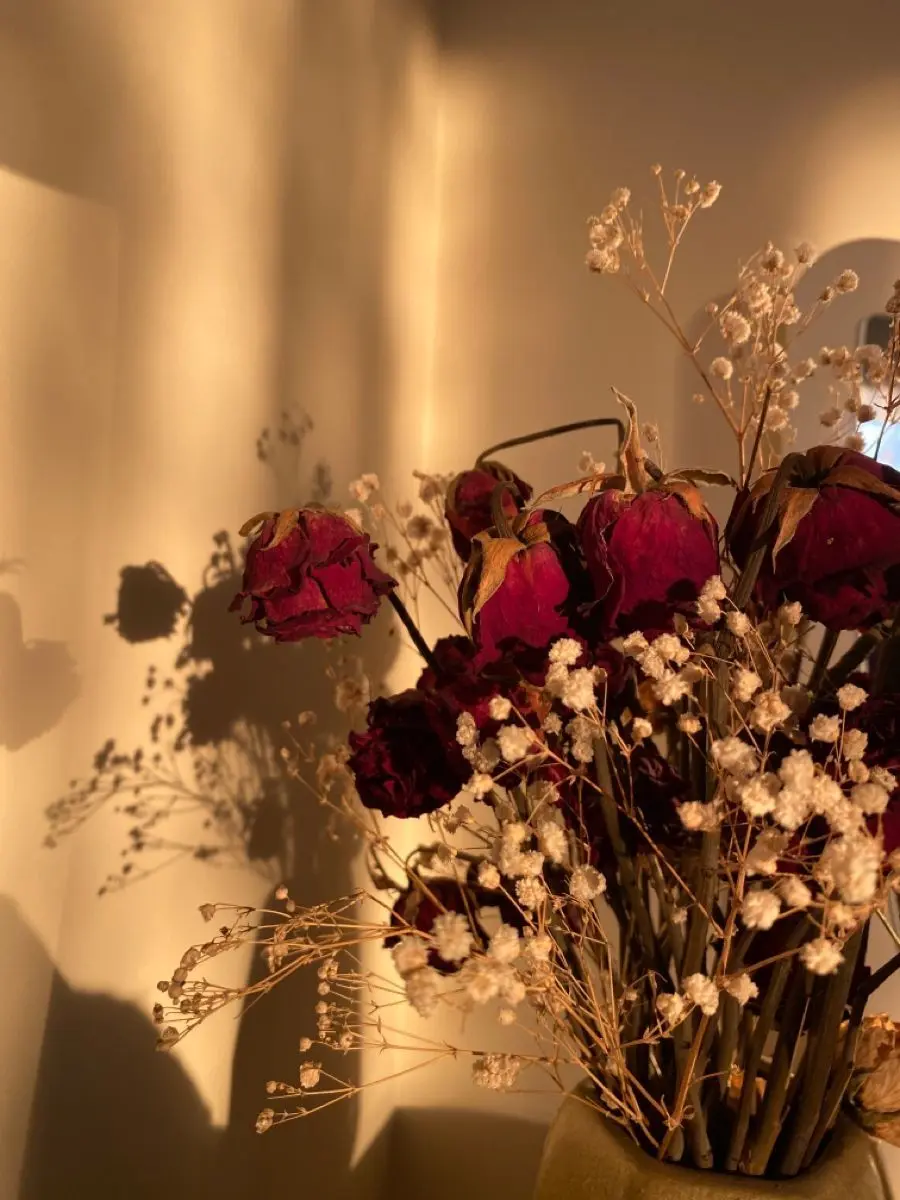 MIGIOTA의 やっと見つけた