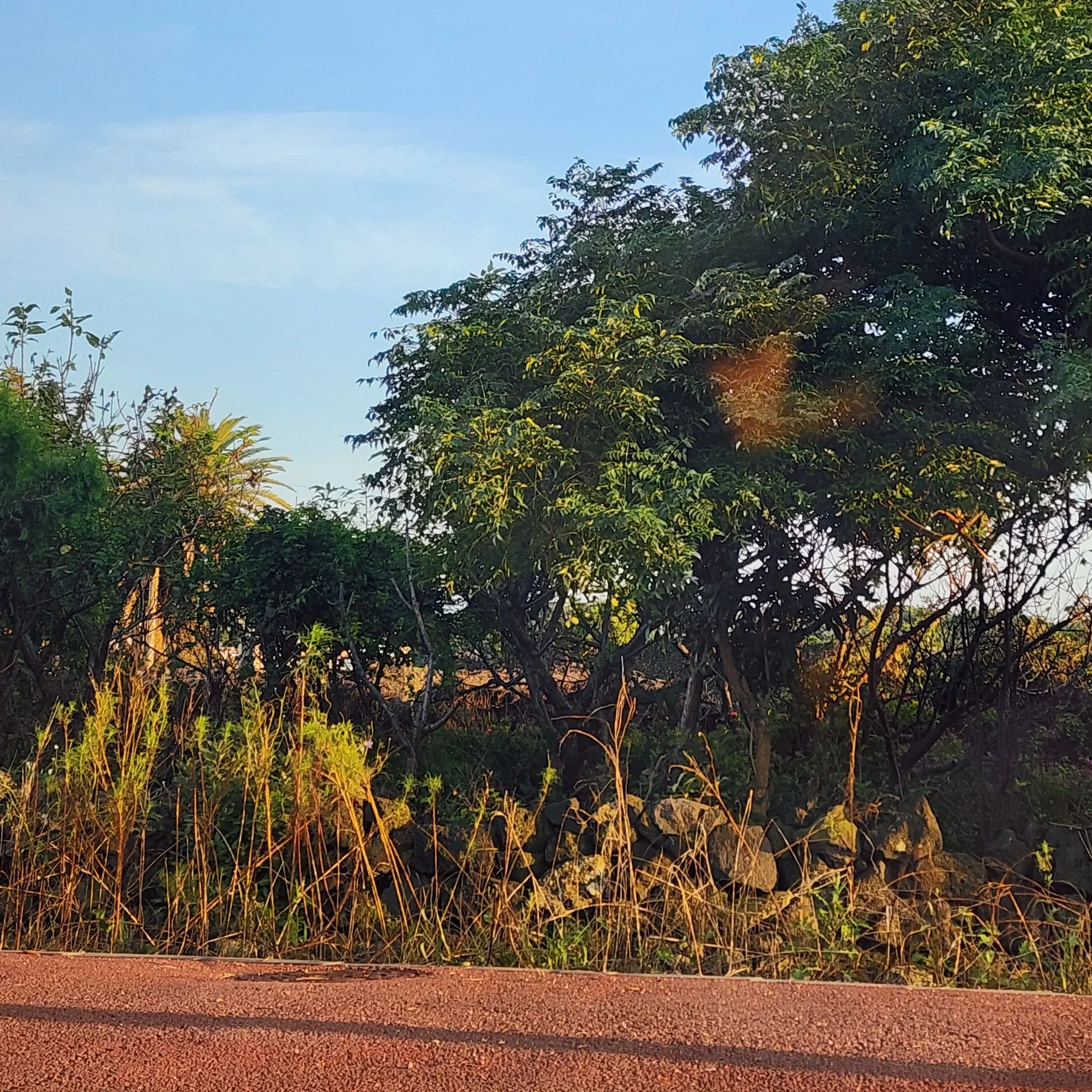 Emotional_account의 [그나마의 재능도 이제 쓸모 없어진]