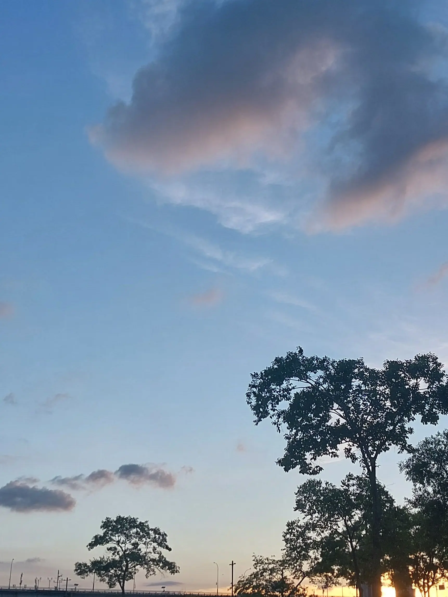 BrutalOrgan9478의 바보도 사랑해줘.