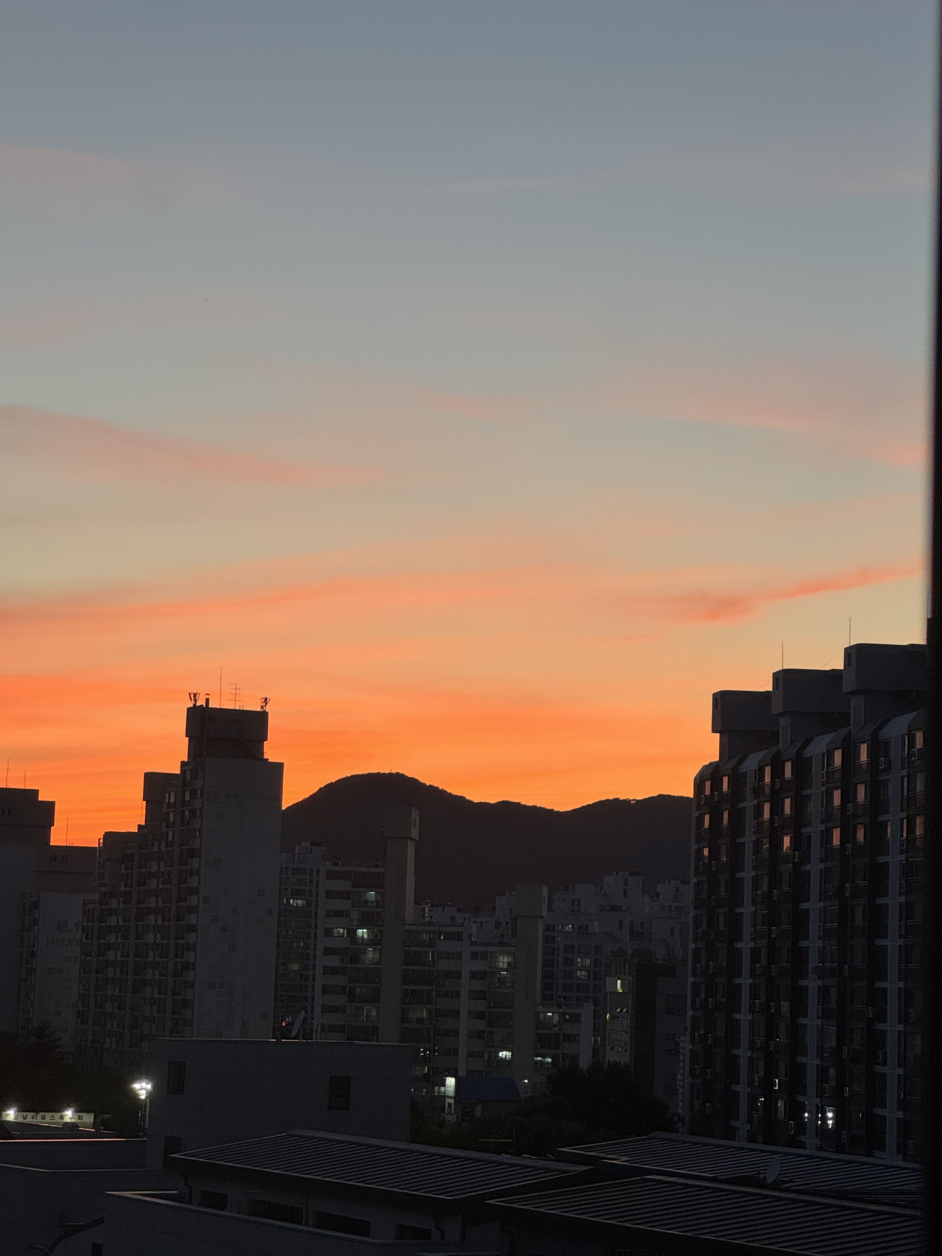 보플 2(마지막 날 밤) 대표 이미지