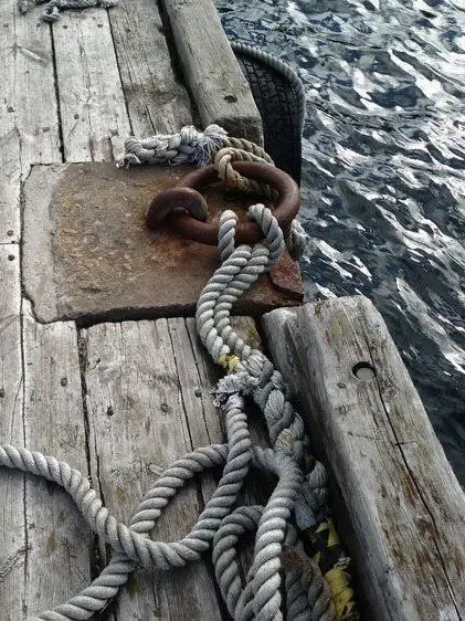 MissMarissa의 Siren x Pirate/Captain