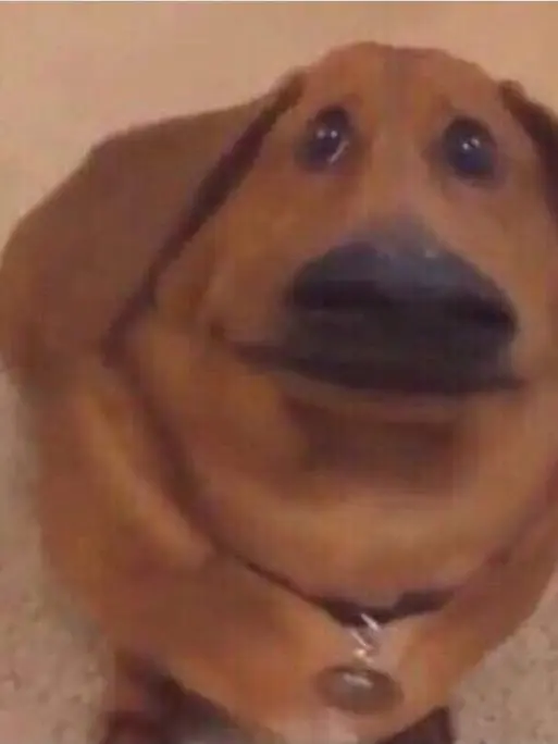 Lemonpa의 테스트ㅣ