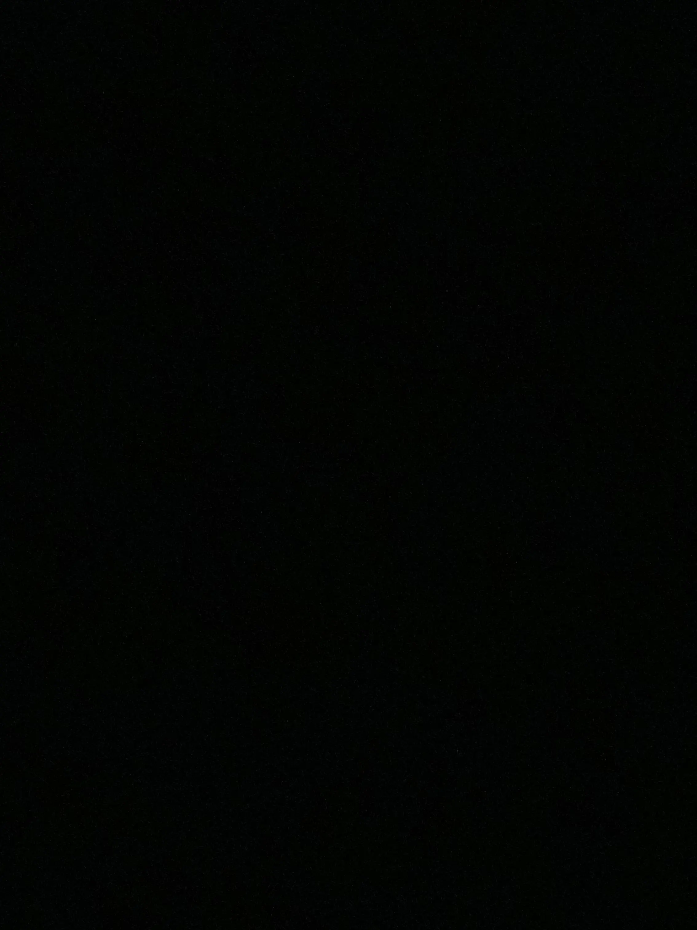 oeoeoeoi의 위장 잠입