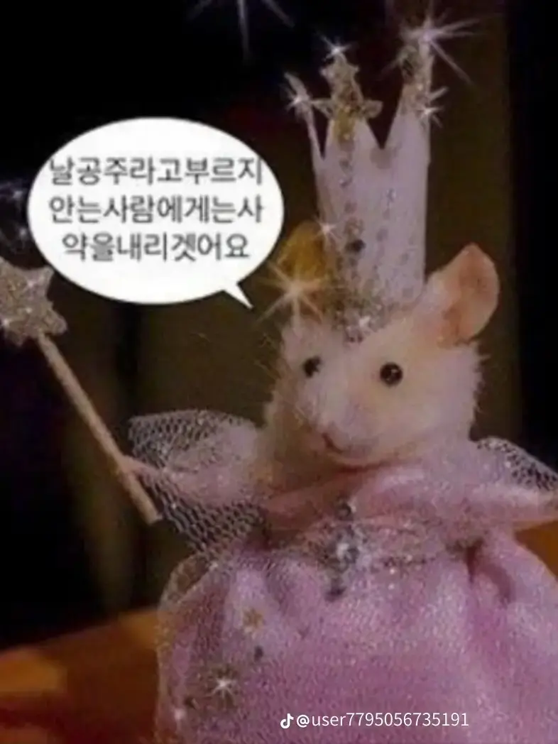 JaggedStraw0925의 토끼 가문의 막내 아들로 되보자