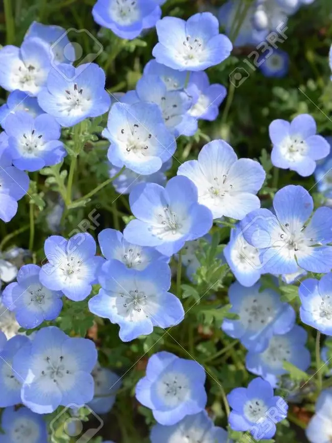 March-sea_0326의 여행, 그리고 오랜 우정.