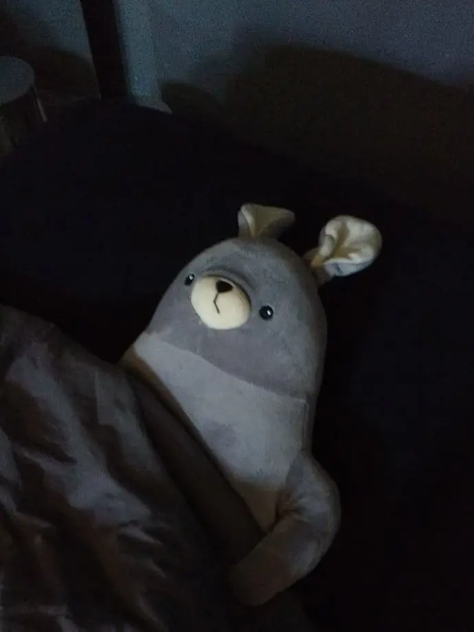s__.12의  ︎︎