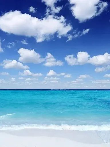 SnugRoad8166의 괴수8호👾 (여름휴가+바다가🌊)