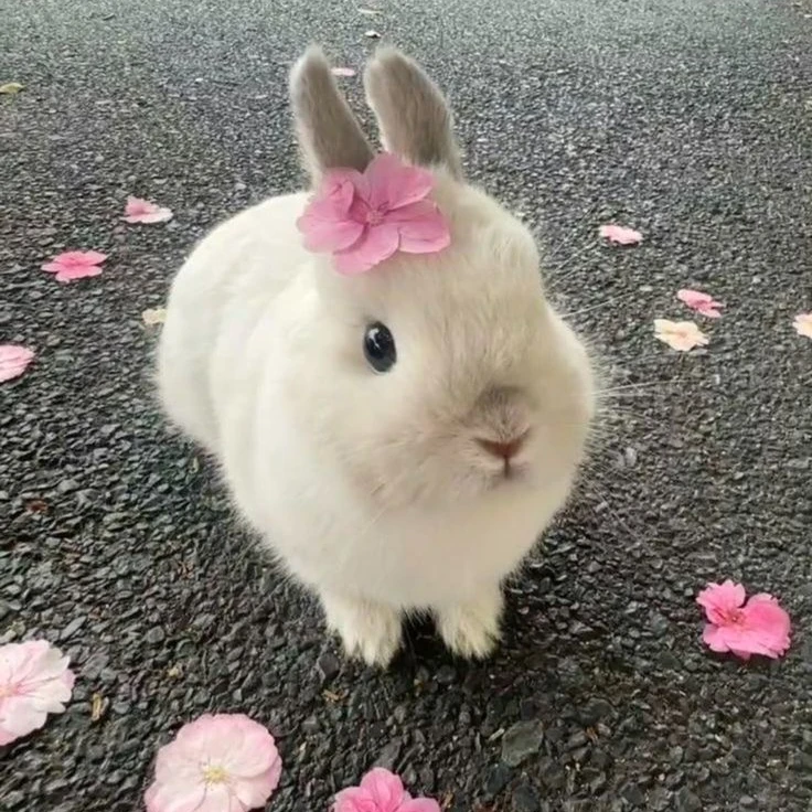 마사토