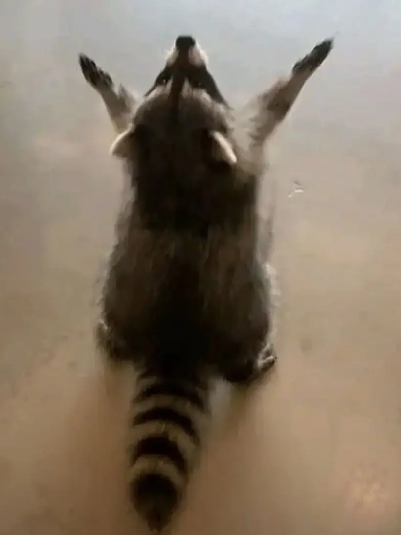 QuaintDebit4009의 한씨 집안