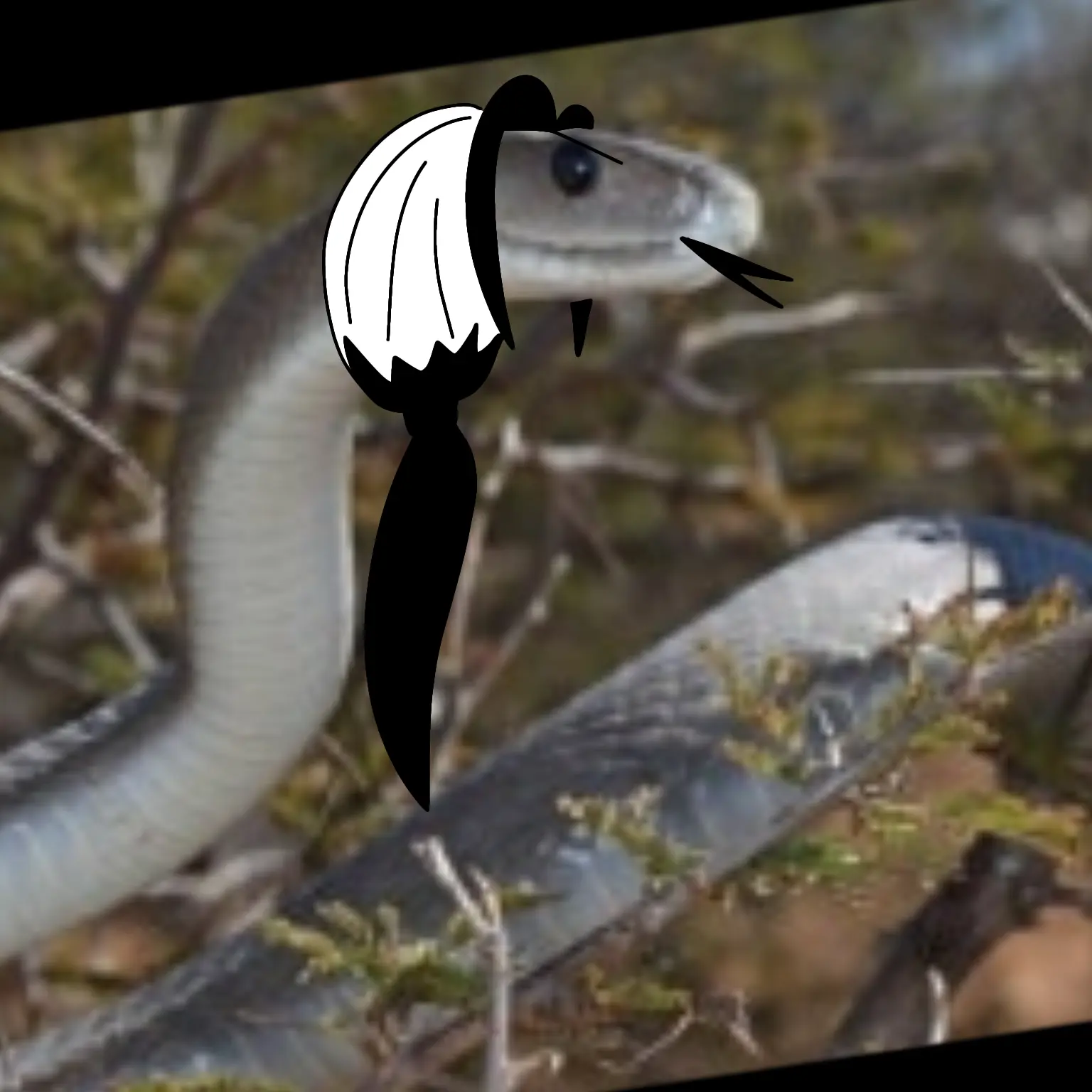 HuYeonOk_bead_Ok의 잭