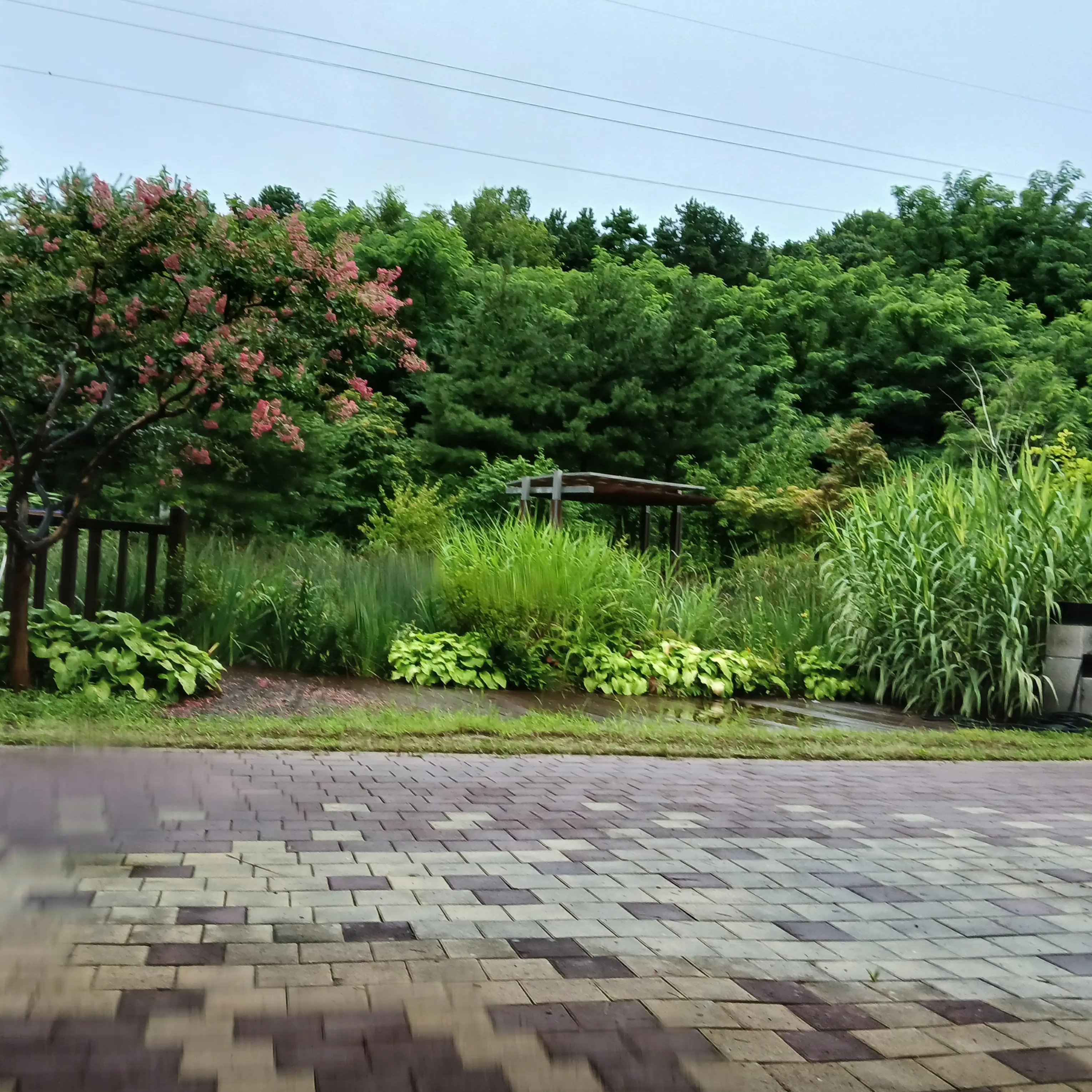 C1u2t3i4e의 좀비학교+고고프렌즈