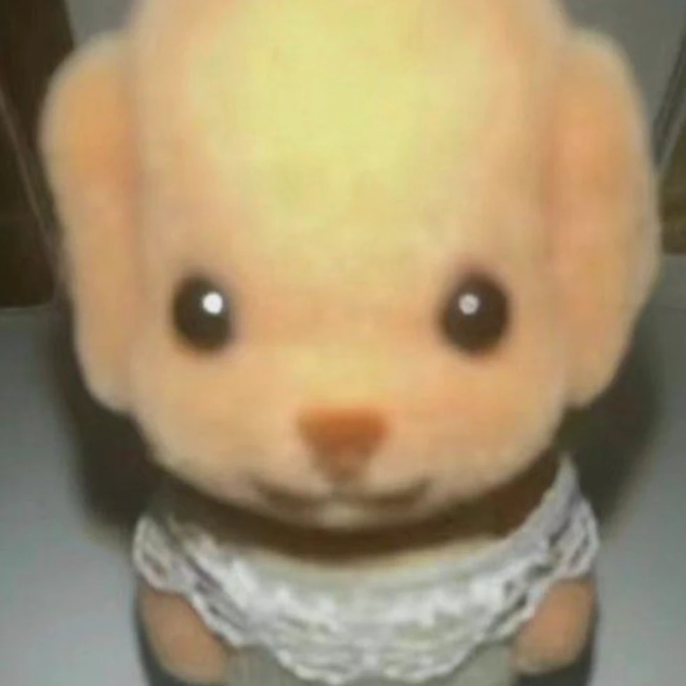 김규빈