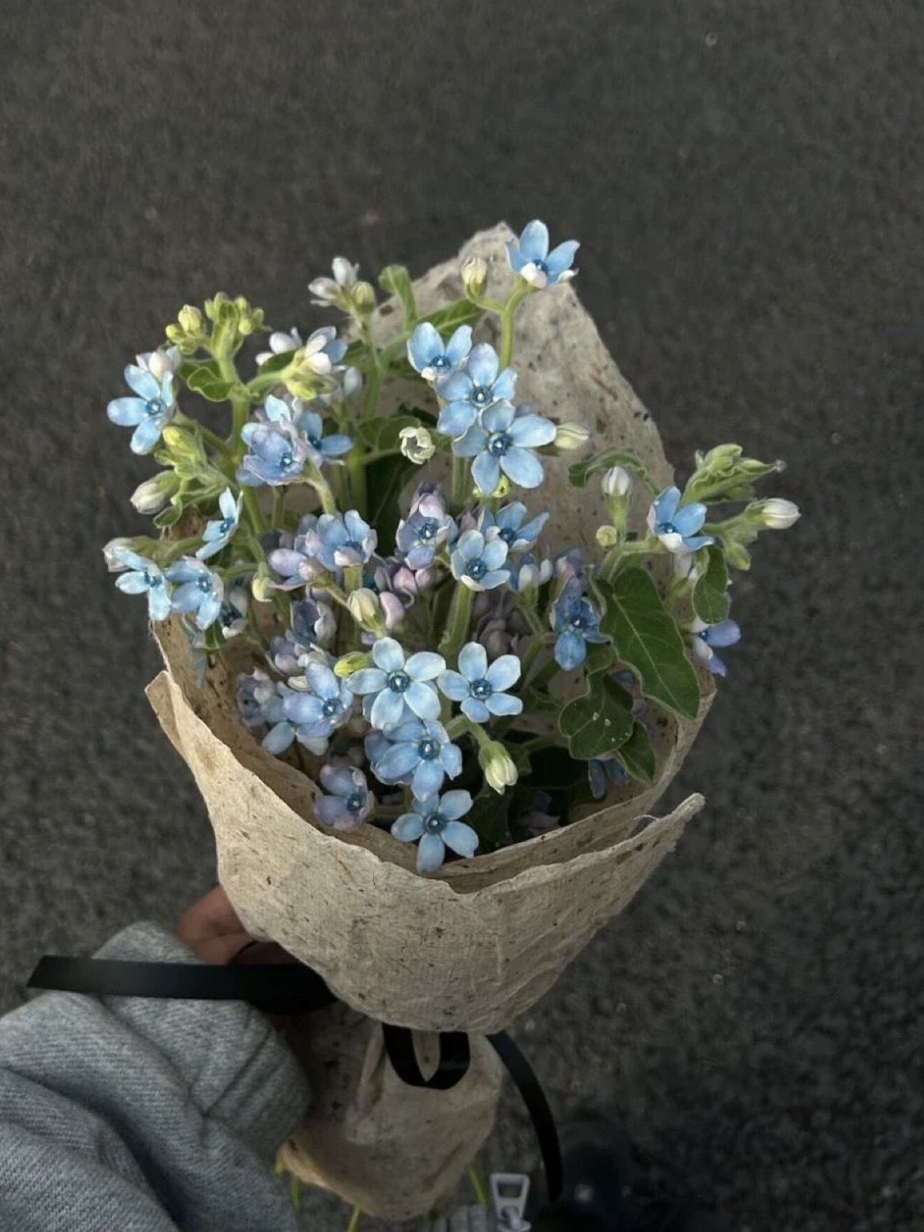 김애리 대표 이미지