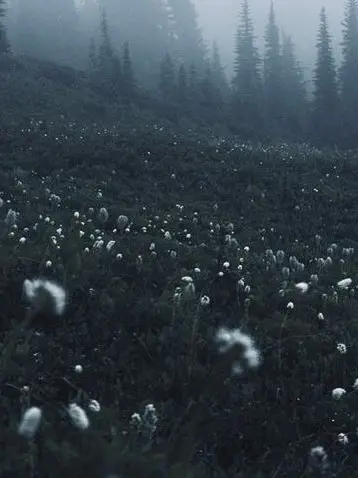 UglyScale3077의 이것좀 어떻게 해봐.
