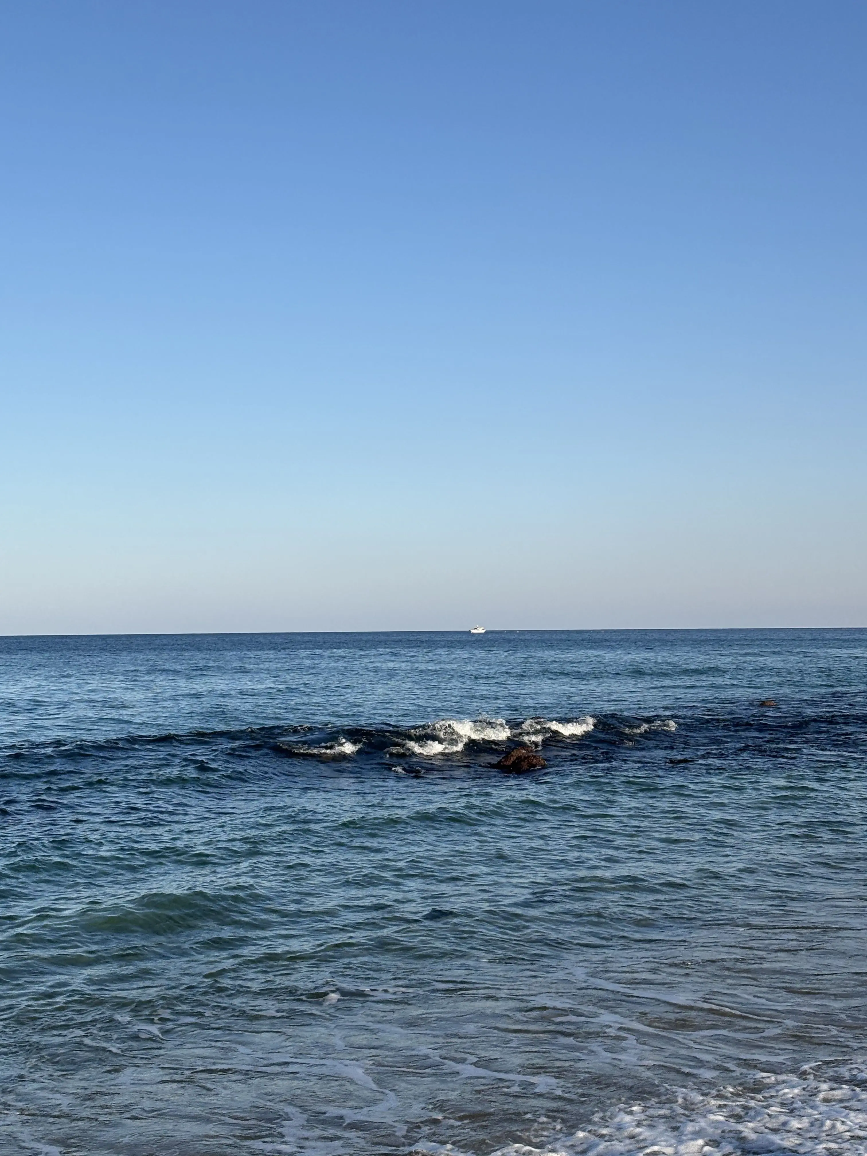 PeachyTape9157의 전기차들의 여행인데 여우,늑대가있다.