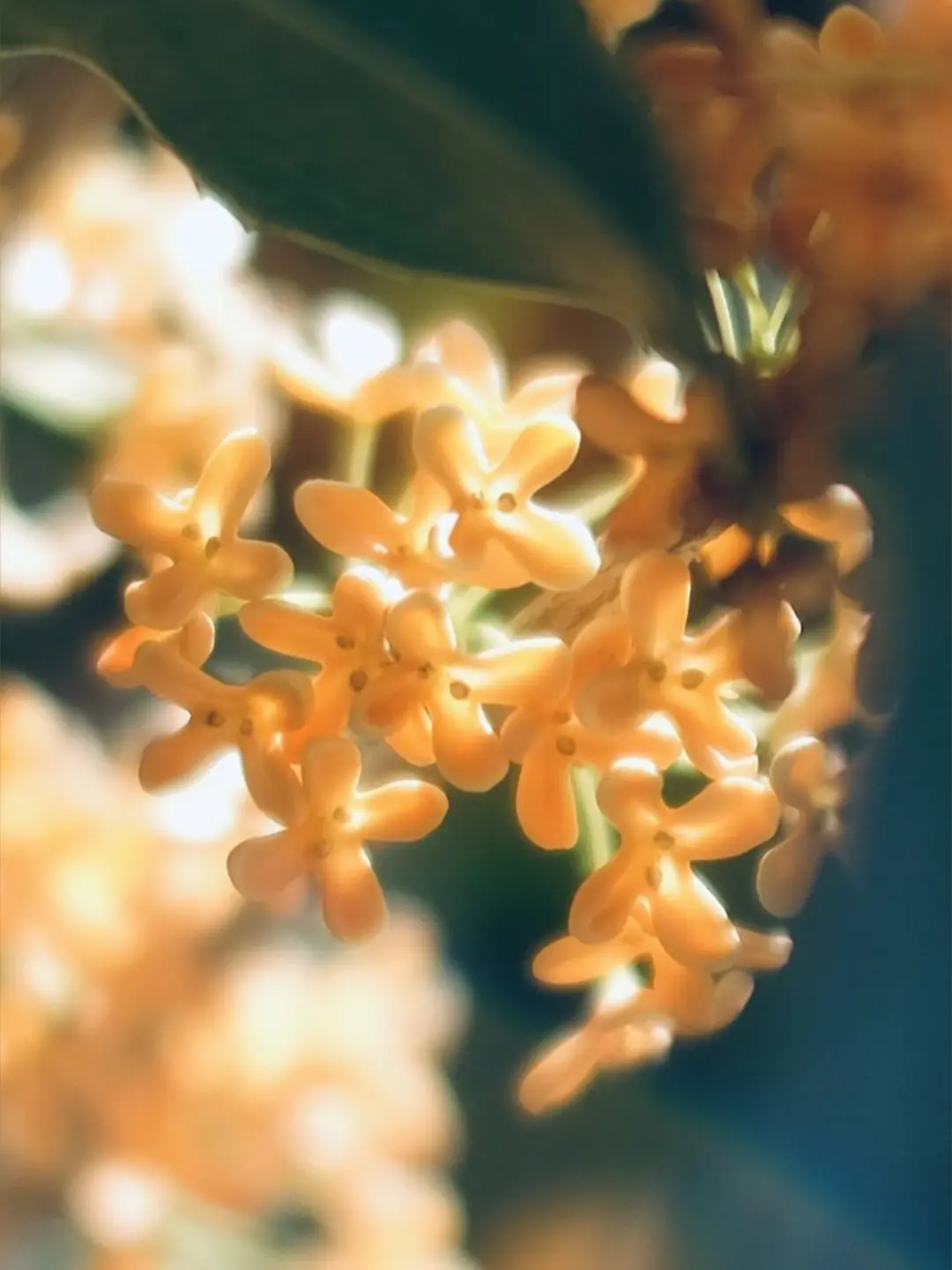 akimaru2434의 真夜中と踊ろう