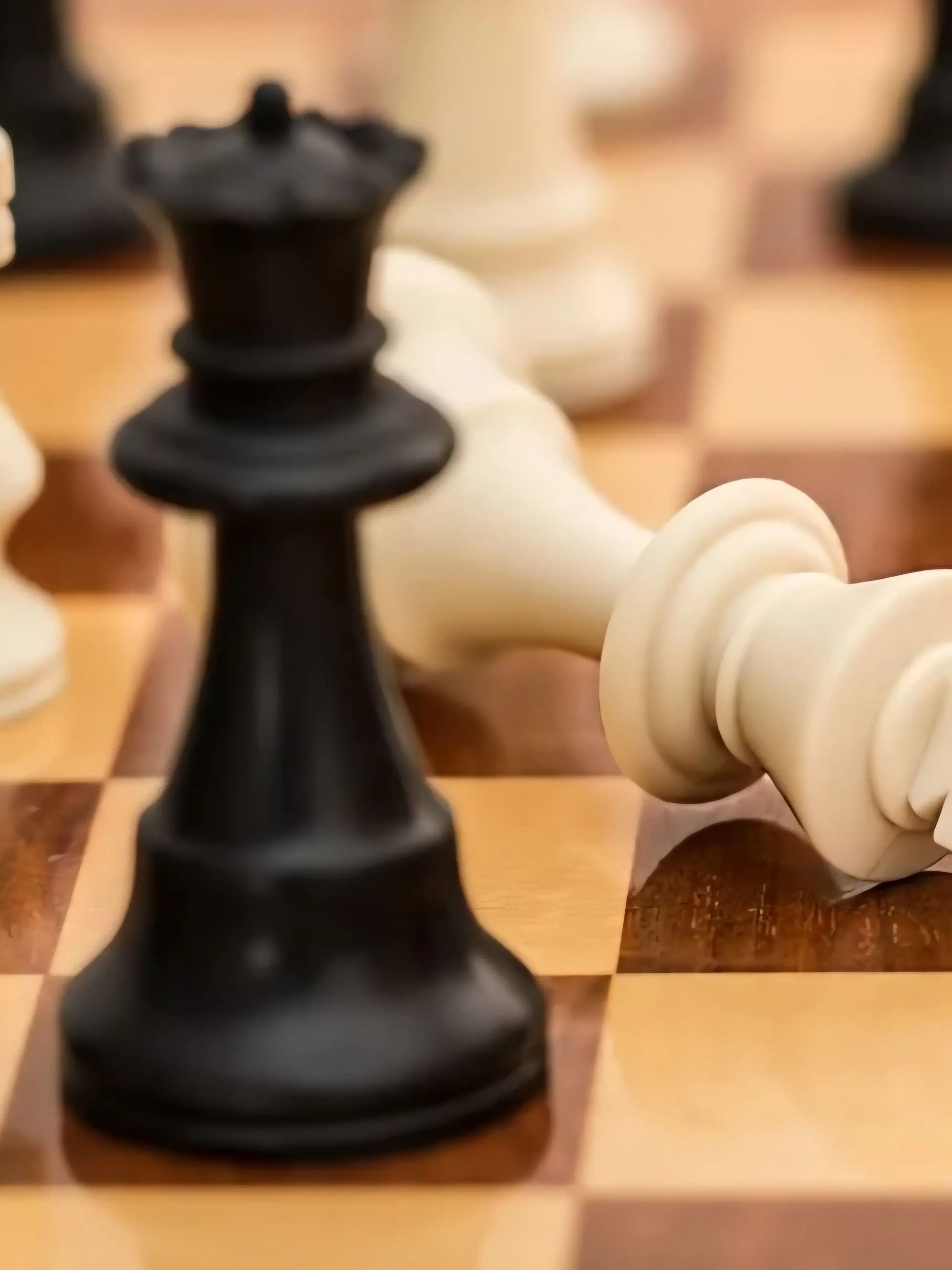 JumpyPond7173의 Chess World
