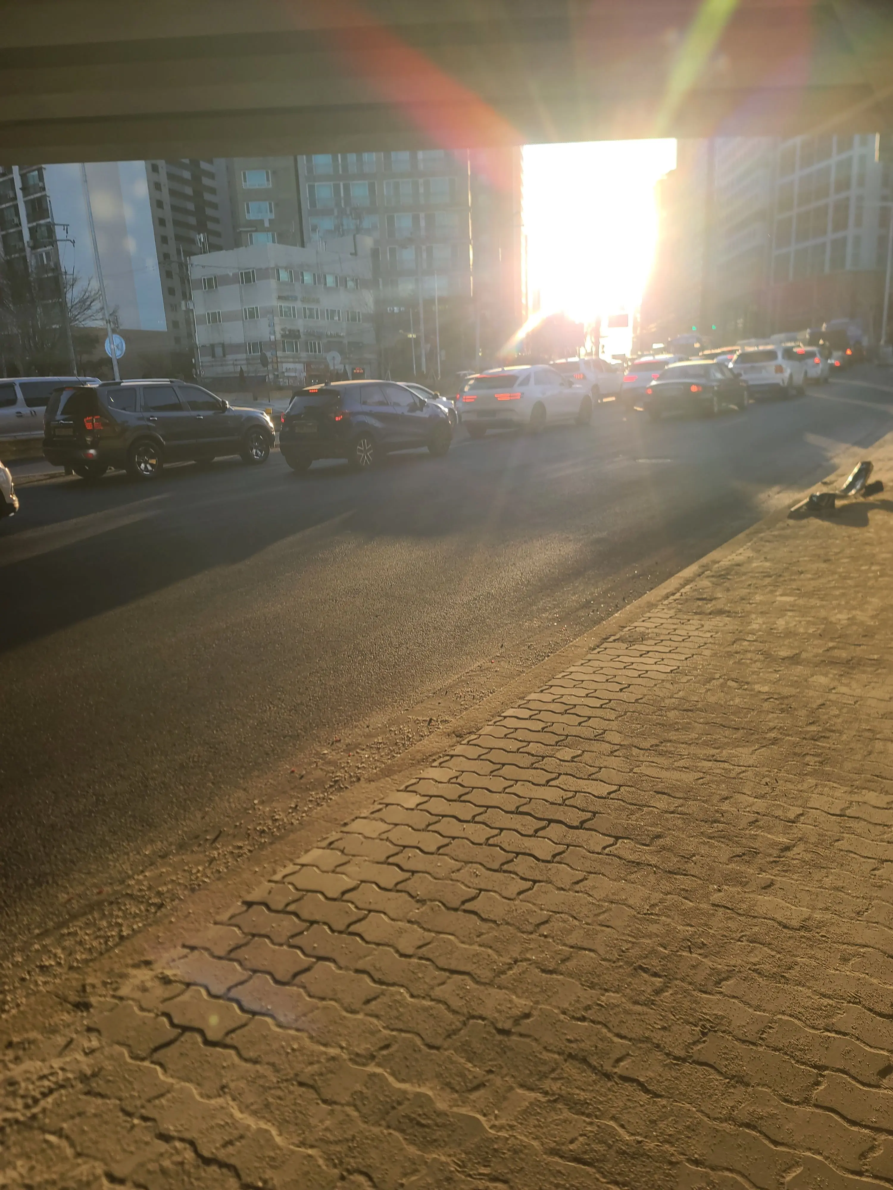 NMIXX_21의 오해원