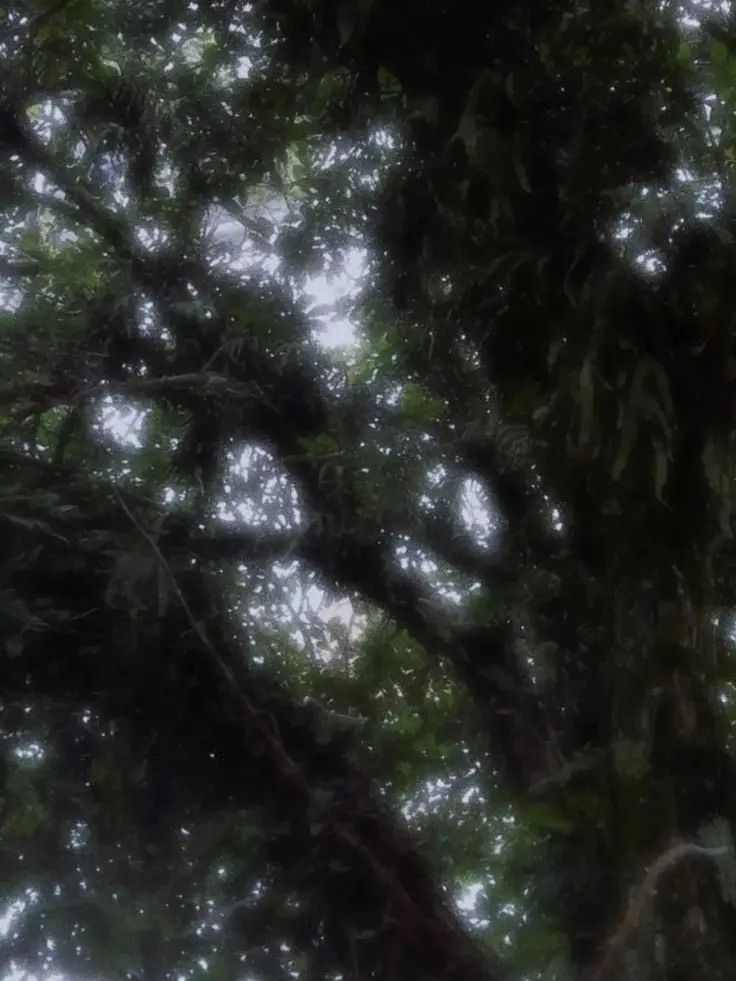 ZURA6.26의 裏切り者の君＿＿＿＿＿．