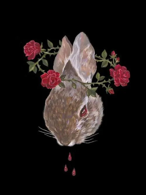 Shasca의 The Tortoise and the Hare