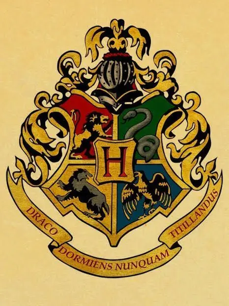 Levi-O-sa의 해리포터 차세대 속 호그와트 마법학교