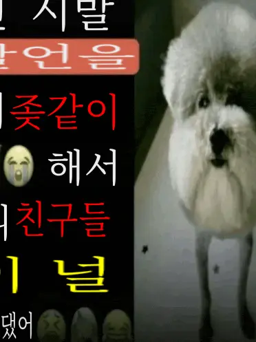 normalman의 뒤틀린 팀헥사곤