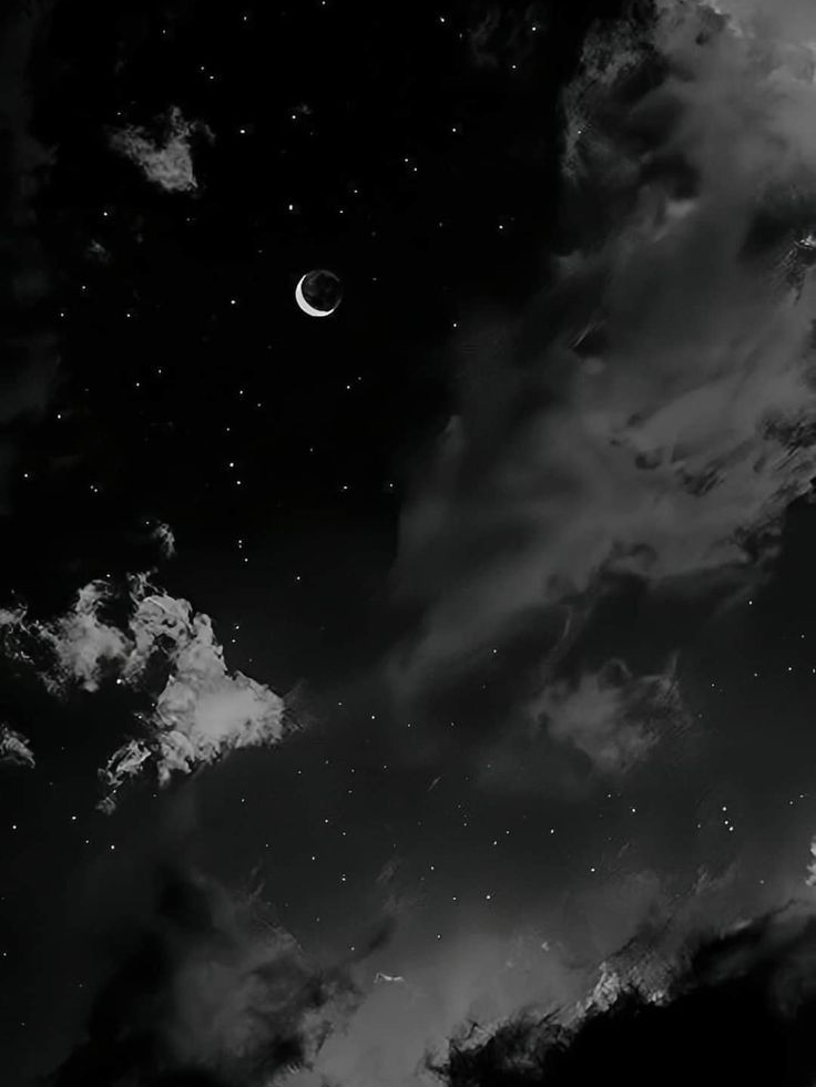 저 아니라니까요?! 대표 이미지