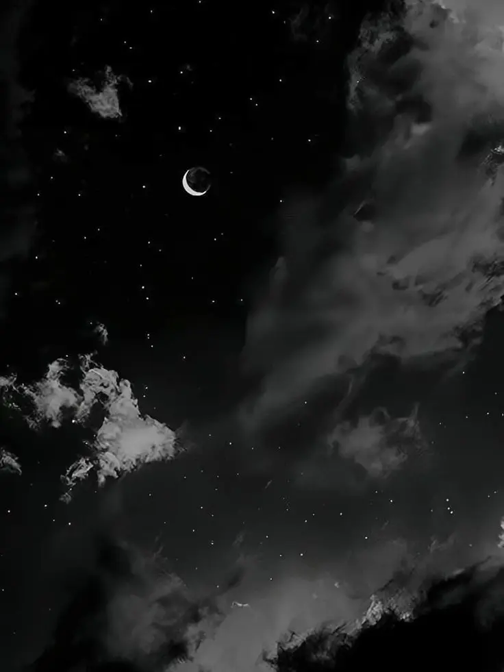 BarrenJazz9608의 저 아니라니까요?!