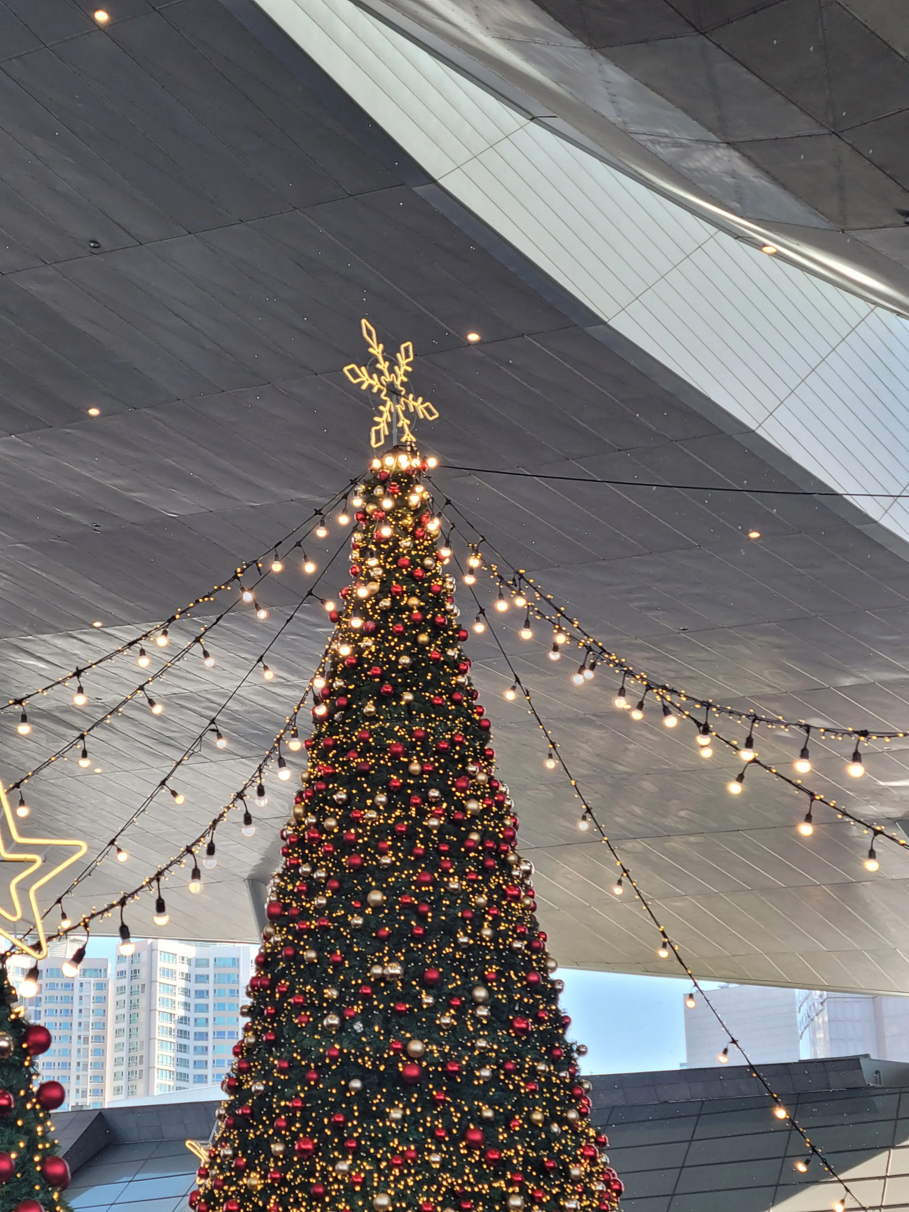 code.RW의 남고로... 전학왔다.