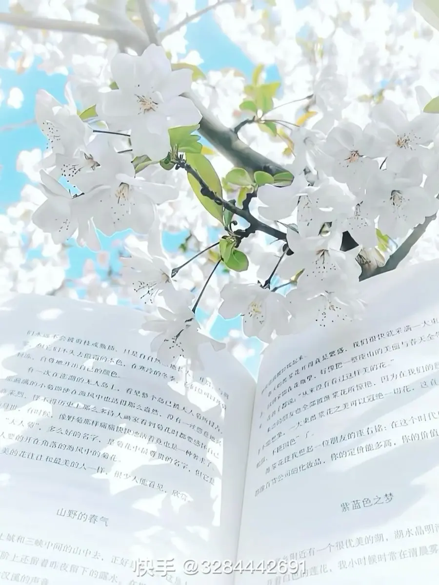 PlumViper5364의 探偵社設立組の日常