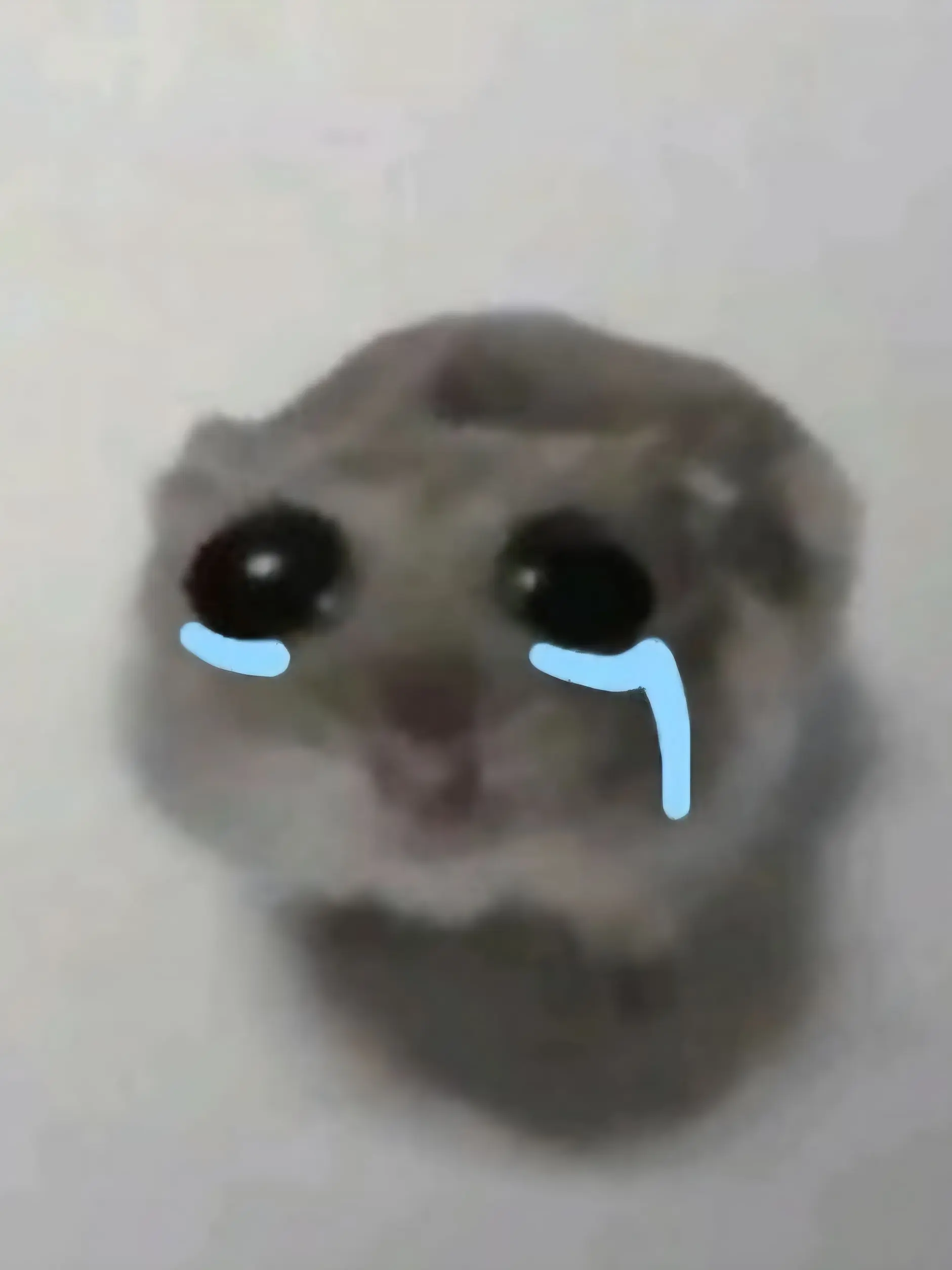 JuicyPen5498의 여우 한스쿱 데헷☆ 고3놈들