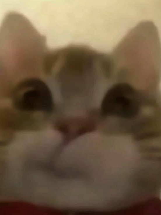 간부조한테 키워졌었던 {{user}} 대표 이미지