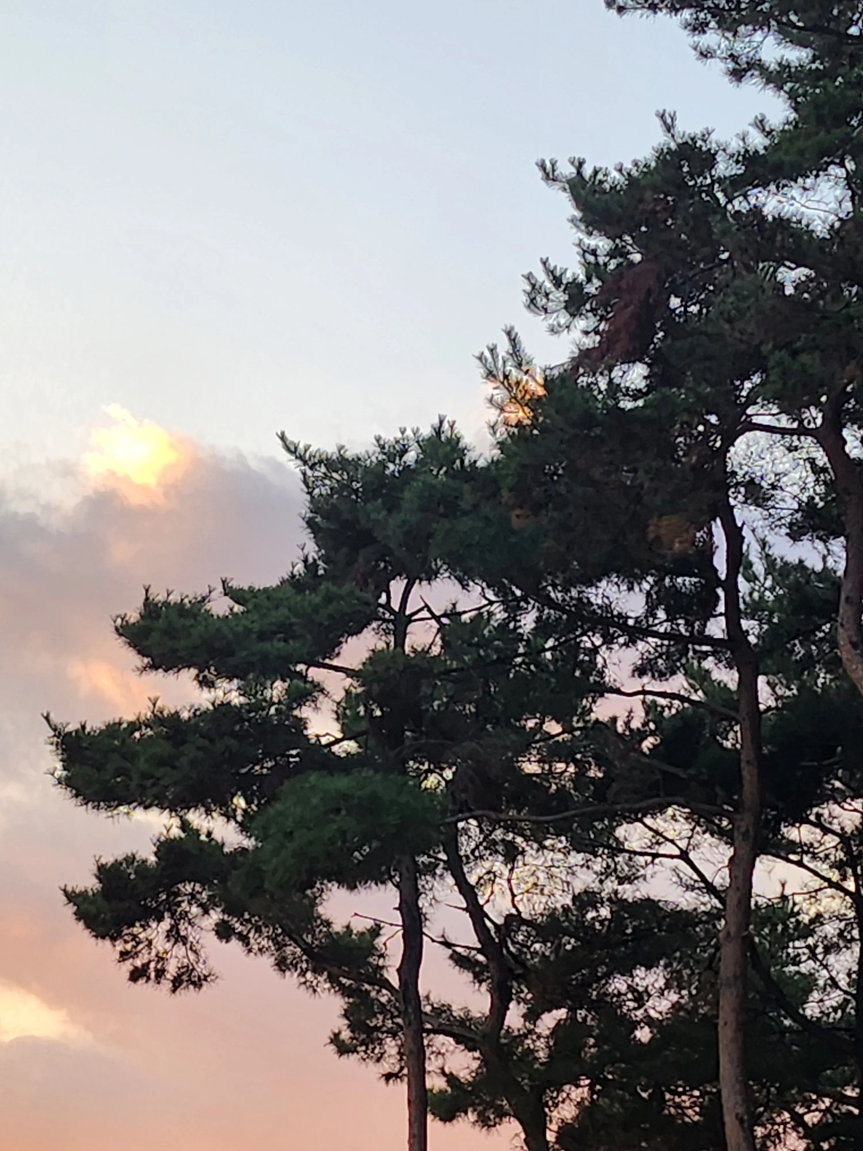 singgonum의 싫음과 좋음 둘 중 하나.