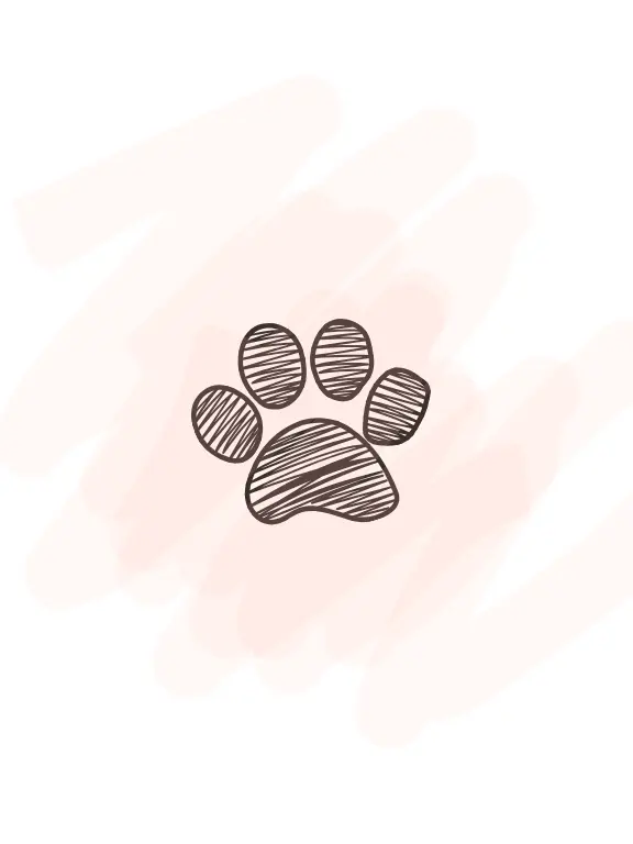 Rabbit_blackpanther의 여우