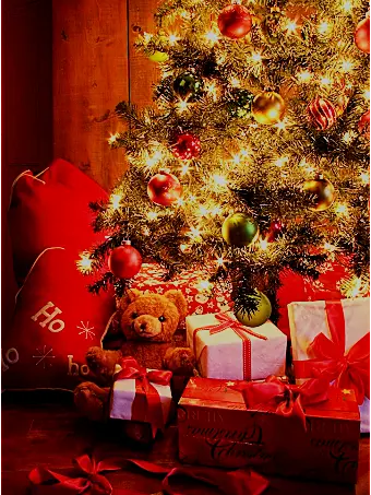 cat45880의 미친ㅂ..아니 미수반회식