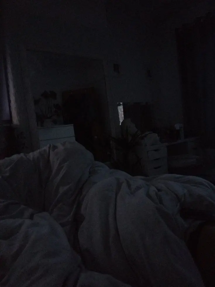 CoralDog5168의 「맹수 길들이기」