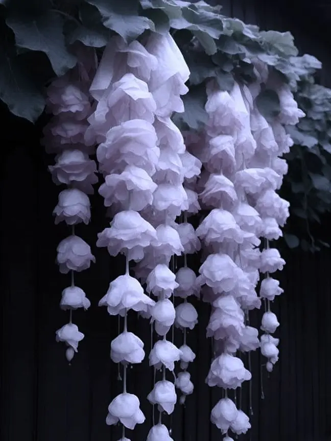 bby_124의 센 프라우드