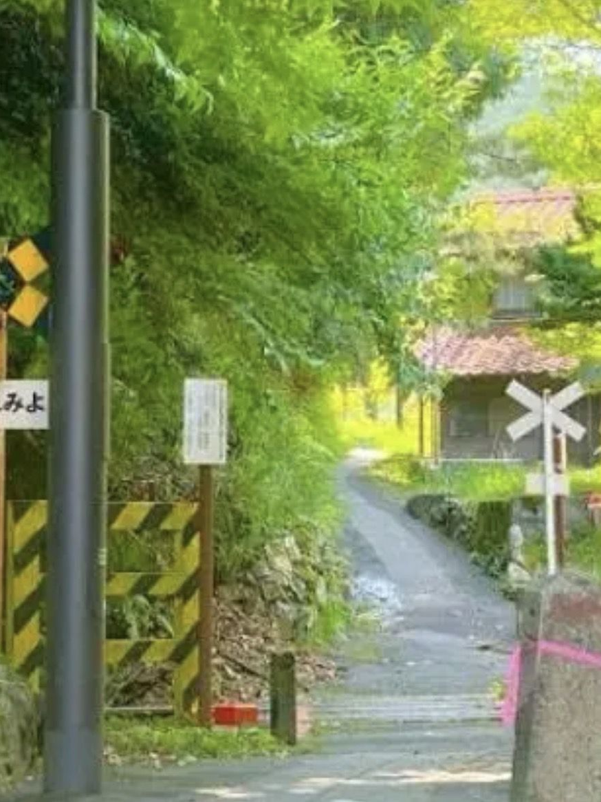 ★ 나의 청춘은 어디 갔어 ? ★ 대표 이미지