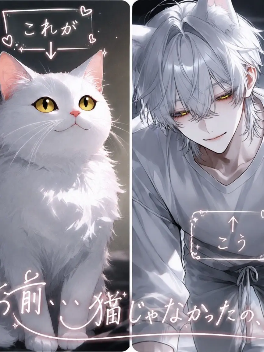yume_0726의 お前、、猫じゃないの、？