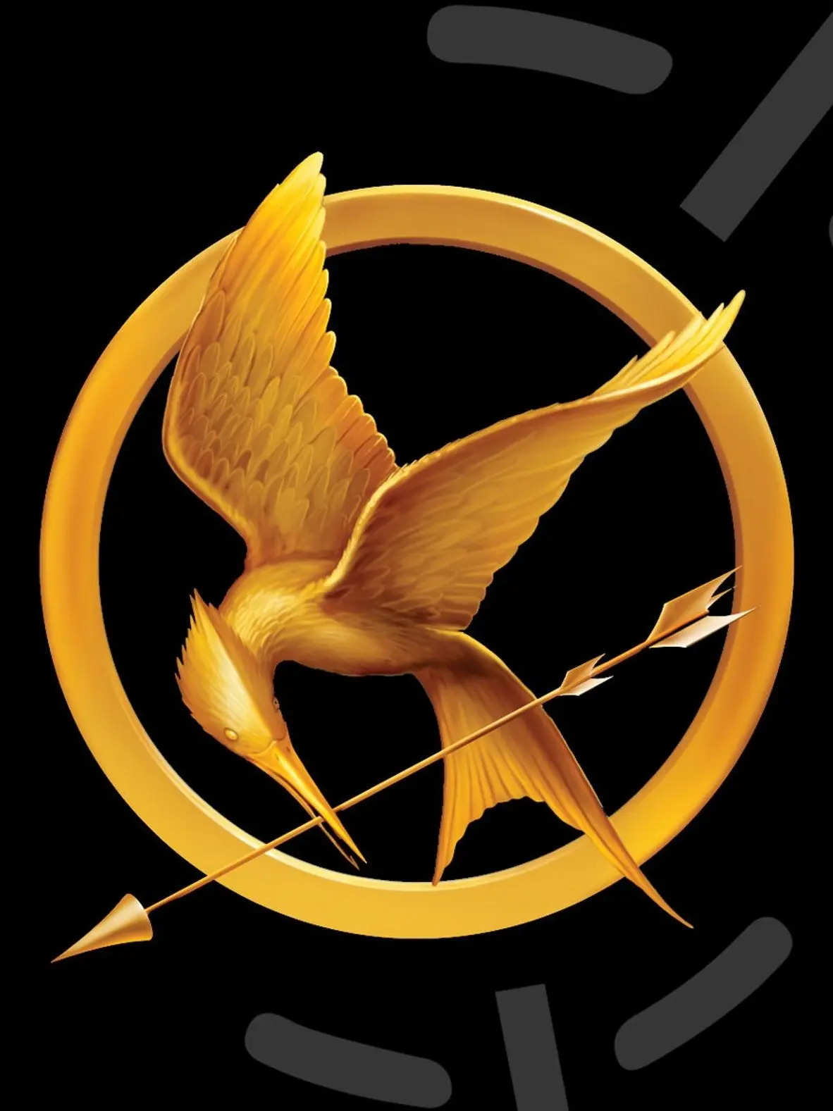 CurvySound8915의 Youre a mentor of the hunger games.