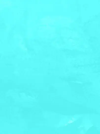 NeatCello2514의 あなたとの結末は＿