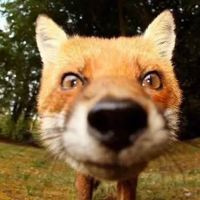 Magical의 ..생글생글ㅎ