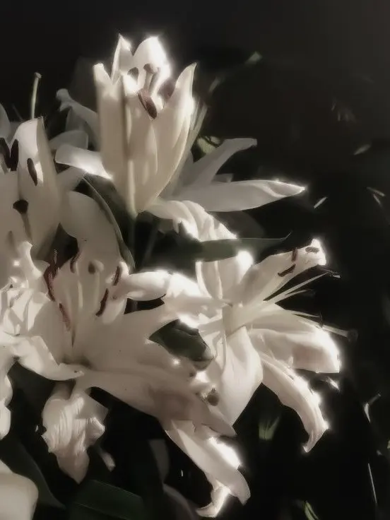 LotusTheme의 개인용뤼엔파파♡